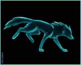 Ice_wolf.jpg image by etherion1